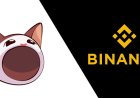 POPCAT spikes 23% on Binance perpetual listing announcement