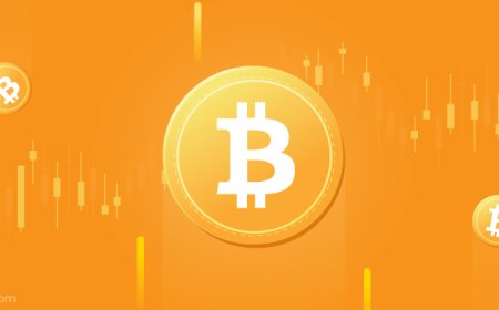 Why Bitcoin Price Keep Rising? Bitcoin Explained 2024