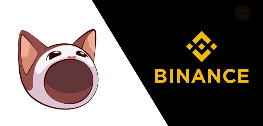 POPCAT spikes 23% on Binance perpetual listing announcement