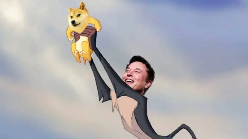 Elon Musk Win Dismissal In Dogecoin Price Manipulation Allegations