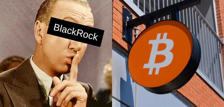 BlackRock Has Acquired 359,000 Bitcoin Worth $23 Billion in 2024 Buying Spree