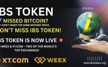 Missed Bitcoin? Don’t Miss IBS Token – Now Live on WEEX and XT!