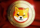 Shib Army Shares Top DYOR Tips to Dodge Crypto Scams Like a Pro