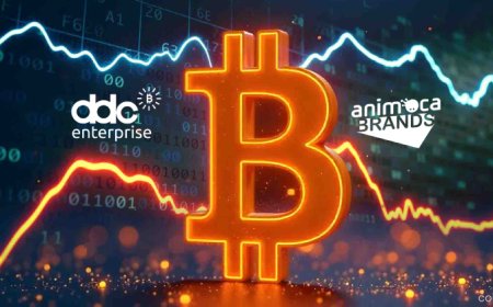 DDC Enterprise & Animoca Brands Join Forces on $100M Bitcoin Treasury Strategy