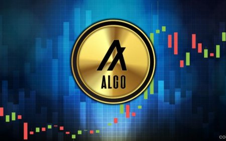 Could Algorand’s Bull Run Be Starting? Strong Signs of Momentum in 2025