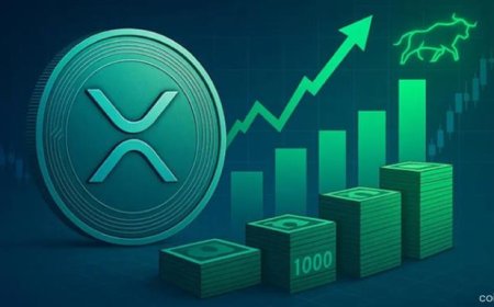 XRP Could Double Its Market Share in Crypto ETFs, Veteran Predicts