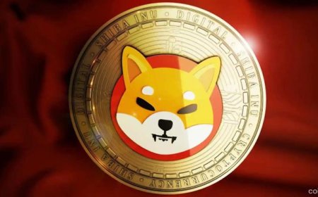 Shib Army Shares Top DYOR Tips to Dodge Crypto Scams Like a Pro