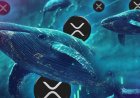 XRP Whales Accumulate Ahead of SEC Decision: Major Buying Signals Surge in Sentiment