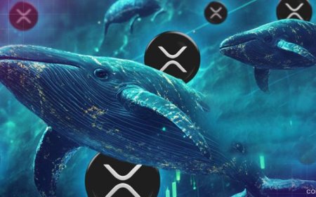 XRP Whales Accumulate Ahead of SEC Decision: Major Buying Signals Surge in Sentiment