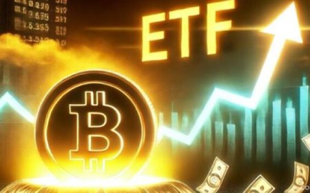 Spot Bitcoin ETFs Attract $642 Million Inflows Amid Broad Institutional Demand Surge