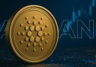 Cardano Volume Surges 63% in Latest Rally Signal