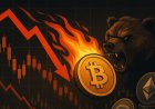 Analysts Warn of a 1929-Style Market Echo — Is Bitcoin Heading Into a Major Bear Market?