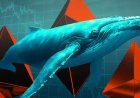 Ethereum Whales Ramp Up Accumulation Amid Broader Crypto Market Pull-Back