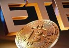 Spot Bitcoin ETFs Face Record Outflows in November as BTC Sinks