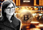 Cathie Wood Says Crypto Liquidity Crunch Will Reverse Within Weeks