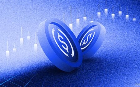 Circle Updates USDC Terms to Allow Lawful Firearm Transactions Under U.S. Law