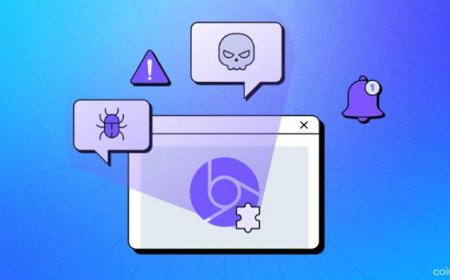 Malicious Chrome Extension Disguised as Crypto Wallet Steals Seed Phrases via On-Chain Exfiltration