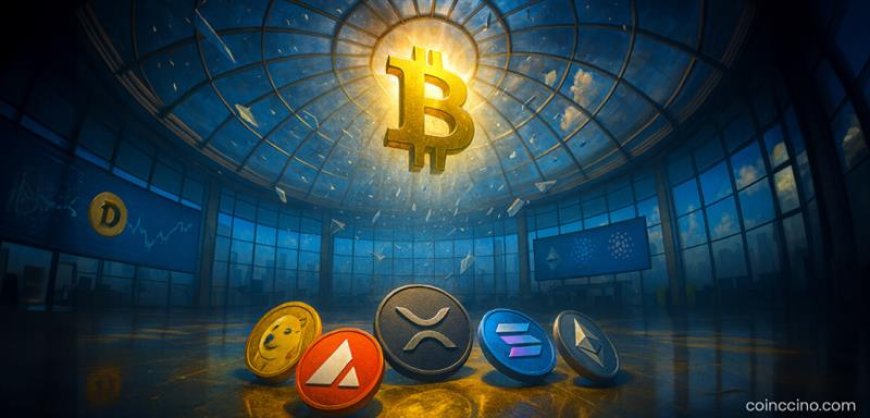 Is an Altcoin Season Ahead? Internet Computer, Zcash and Others Begin to Take Off