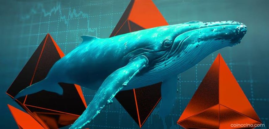 Ethereum Whales Ramp Up Accumulation Amid Broader Crypto Market Pull-Back