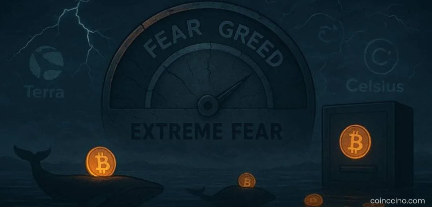 Crypto Fear & Greed Index Collapses to 10 — What’s Next for the Market?