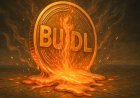 BUIDL Tokenized Money Market Fund Pays $100M in Dividends — Real-World Assets Go Mainstream