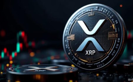 Ripple CEO Confirms Major XRP Updates — Institutional Adoption, Legal Clarity, and 2025 Expansion Plans Ahead
