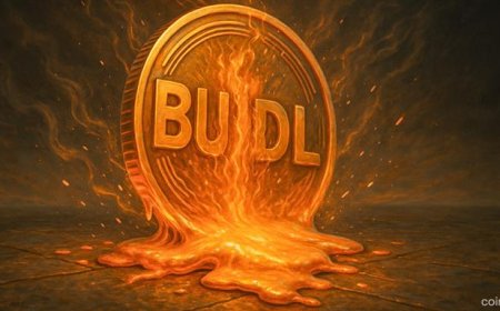 BUIDL Tokenized Money Market Fund Pays $100M in Dividends — Real-World Assets Go Mainstream