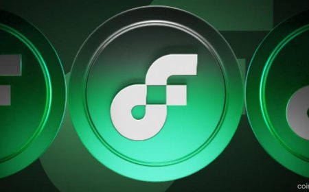 Flow Foundation Enters Phase Two — Pushing Toward Full Decentralization and Community Governance