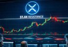 XRP Price Trims Gains Near $1.44 as Momentum Slows After Recent Bounce
