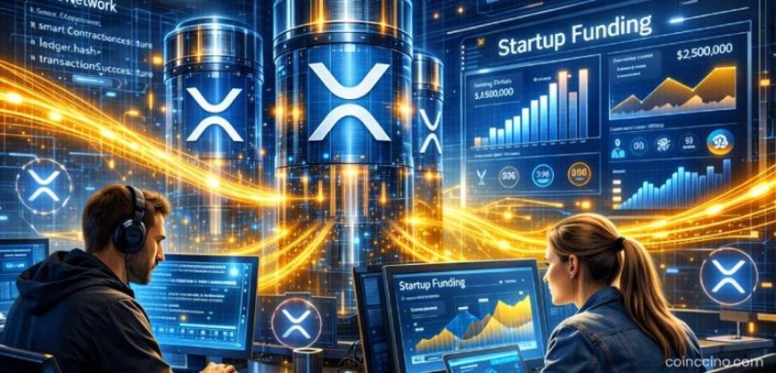 XRP Ledger Developers Gain New Funding Opportunities to Accelerate Ecosystem Growth