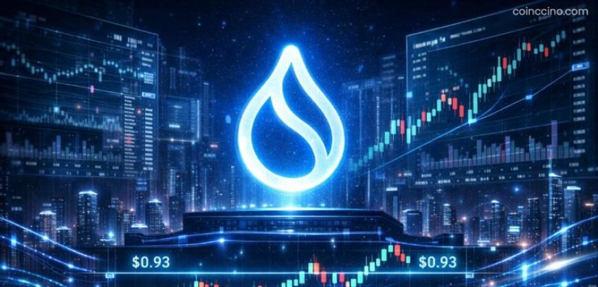 Sui Holds Near $0.93 as Market Watches for Breakout Signals